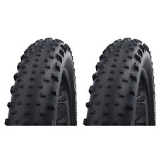 2x Schwalbe Jumbo Jim