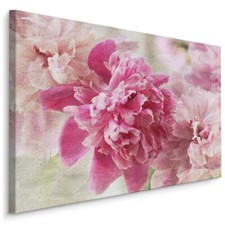 CANVAS Leinwand Bilder XXL