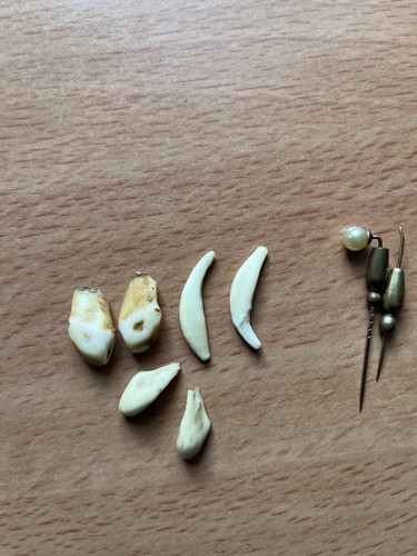 Zwei paar hirschgrandeln und - hirschgrandeln,