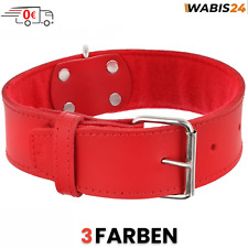 Hundehalsband Lederhalsband Fetttleder Leder Halsband Rindsleder breit 50mm
