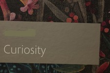 TAPETENBUCH Curiosity