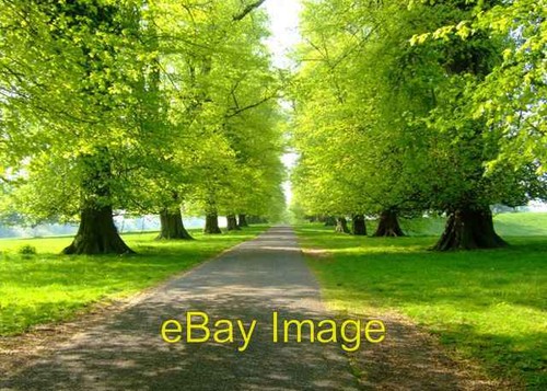 Foto 6x4 ein - 6x4, morgen