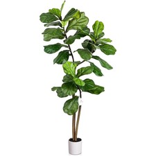 Künstlicher Ficus Pflanze