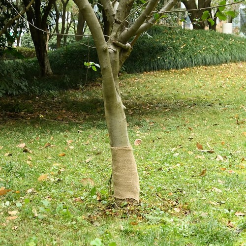 Juterolle jute polster - juterolle,