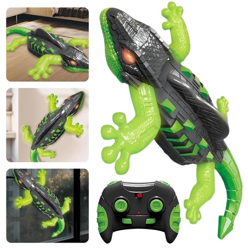 Wall crawler gecko - wall,