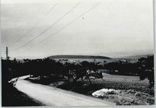 50360546 - 5429 Gemmerich Foto Rhein-Lahn-Kreis LKR