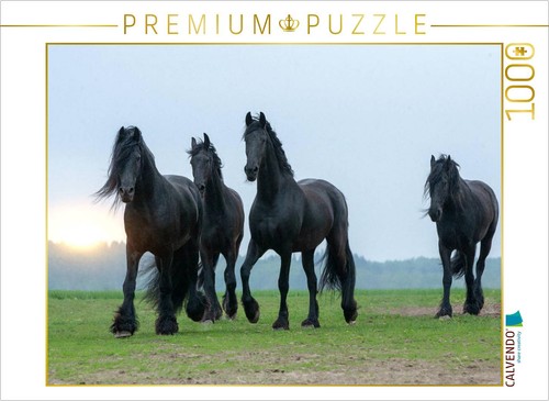 Calvendo puzzle ein motiv - puzzle,