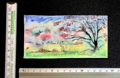 Hans goller miniatur - ,,