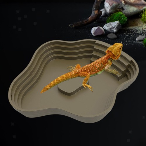 Reptilienbadepool mit - reptilienbadepool,