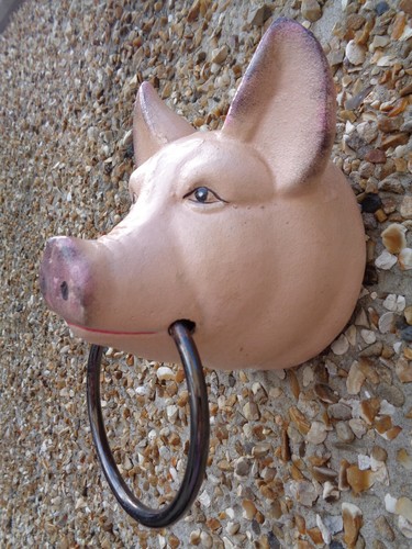Gusseisen schweinekopf - gusseisen,