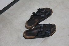 sehr oft getragene Betula