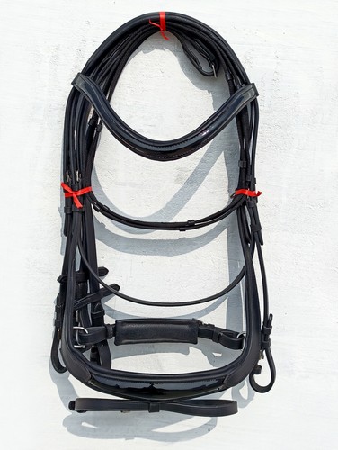 Anatomische leder lack show - anatomische,