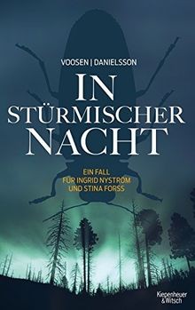 Stürmischer nacht ein - in,