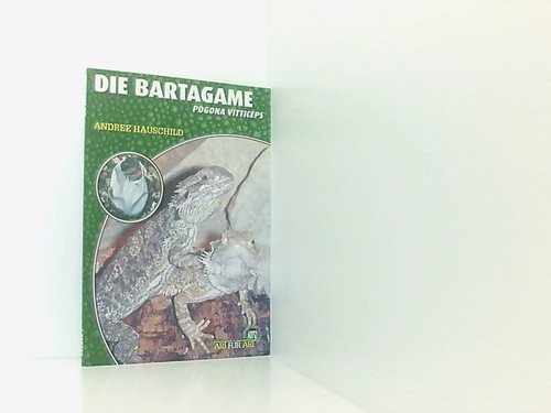 Die bartagame pogona - die, bartagame: