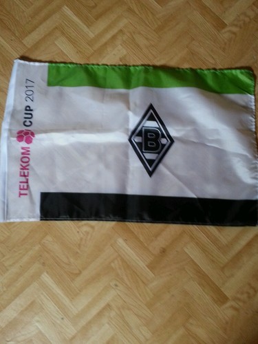 Fahne flagge vfl borussia - fahne,