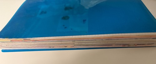 Diddl blätter sammlung - blätter,