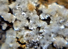 Mineralien Brianyoungit Aragonit Gips Alexanderhalde Bestwig Ramsbeck Sauerland 