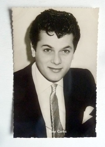 Tony curtis kolibri - tony,