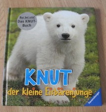 Knut der kleine Eisbärenjunge