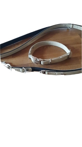 Hundeleine und halsband - hundeleine,