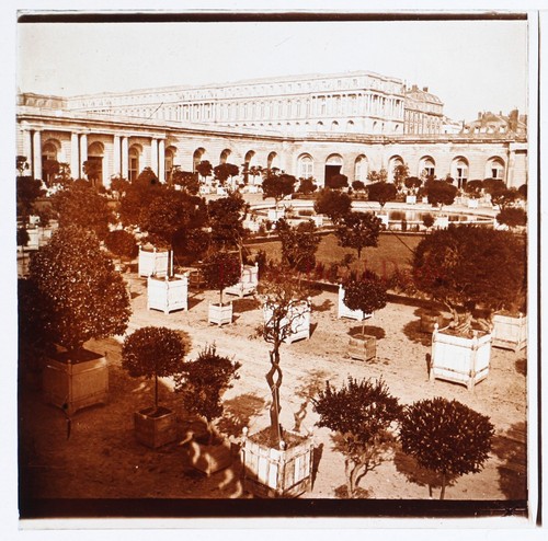 Versailles orangerie - versailles, l’orangerie