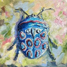 Käfer bunt gepunktet