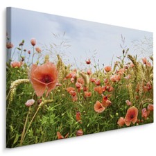 CANVAS Leinwand Bilder XXL