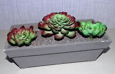 Kunstpflanze Sukkulenten Kakteen - grün- incl. Kasten