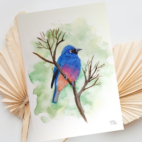 Vogel gemälde aquarell - vogel,