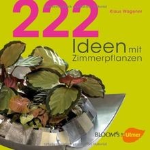 222 ideen mit zimmerpflanzen - 222,