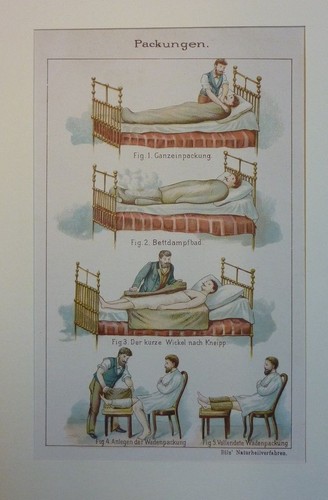 Kolorierter holzstich - kolorierter,