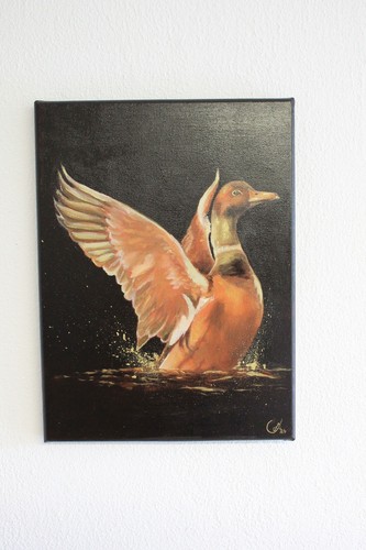 Original ölgemälde ente - original,