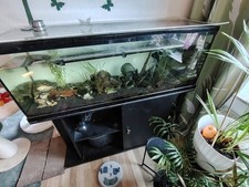 Aquarium Komplett mit