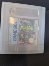 Nintendo Game Boy Teenage