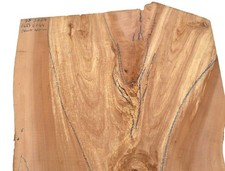 1x Apfelbaum Holz gestockt f Epoxid wormy 73x37-51cm x 43-44mm #73