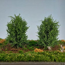 Büsche Sommer ca. 8-10 cm - 2
