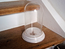 Glas Dom Groß mit Unterteil Uhrensturz Uhren Deko mit Porzellan Teller