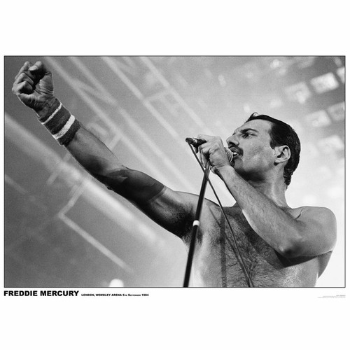 Queen freddie mercury - queen,