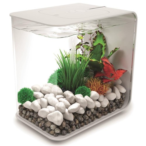 Biorb nano aquarium - biorb, nano-aquarium