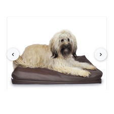 Hundewasserbett mit heizung - hundewasserbett,