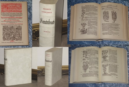 Kräuterbuch adamus lonicerus - adamus,