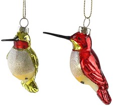Glasvogel kolibri rot - ❀,