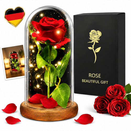 Ewige rose glas für - rose,