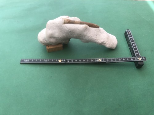 Kuriosum feuerstein flint in - feuerstein/flint,