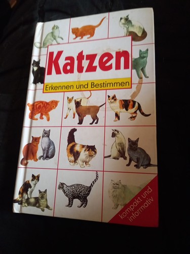 Katzen