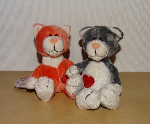 Nici love cats - cats, ca.