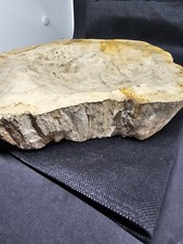 Versteinertes Holz,Schale,2400gramm,26x16x6cm,Insel Java.