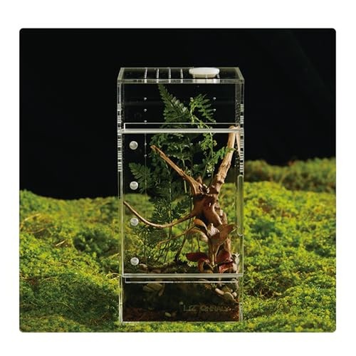 Acrylic terrarium for reptiles - terrarium,