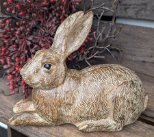 Hübscher liegender hase - ❤️hübscher,