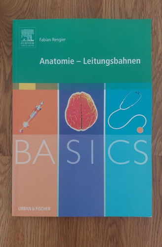 Anatomie leitungsbahnen - anatomie,